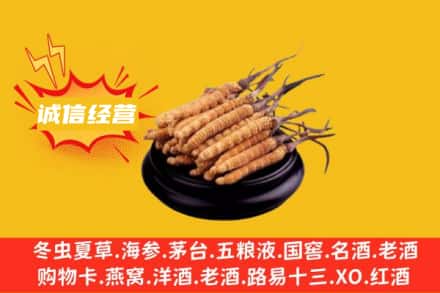 漯河回收冬虫夏草